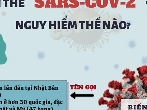 [Infographic] Biến thể R.1 mới có khả năng kháng vaccine COVID-19