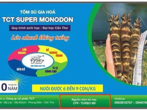Công ty Cổ phần Tôm giống Cần Thơ bị tố nhái nguồn gốc xuất xứ con giống