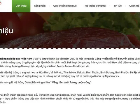 BaF Việt Nam và 'ma trận phải thu - phải trả' trong hệ sinh thái Tân Long Group