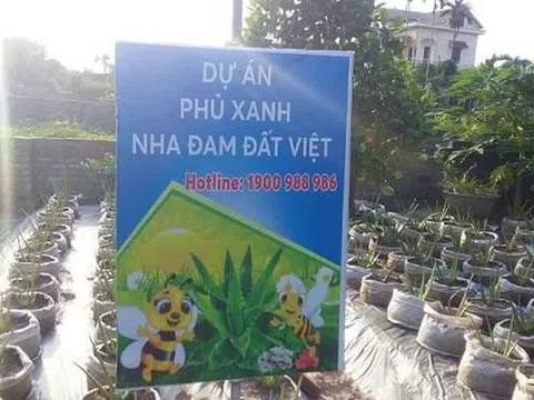 Bất thường dự án trồng cây nha đam của Cty Biobee Việt Pháp