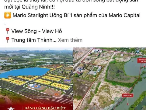 Quảng Ninh: Dự án MARIO CAPITAL chưa đủ điều kiện đã rao bán rầm rộ