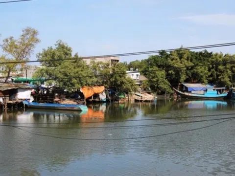 Bà Rịa - Vũng Tàu: Chỉ đạo mới liên quan đến dự án công viên 100ha ‘ngủ quên’ hơn 10 năm