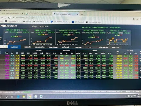 Thị trường chứng khoán lập mốc đỉnh mới, VN-Index tăng 13,5 điểm