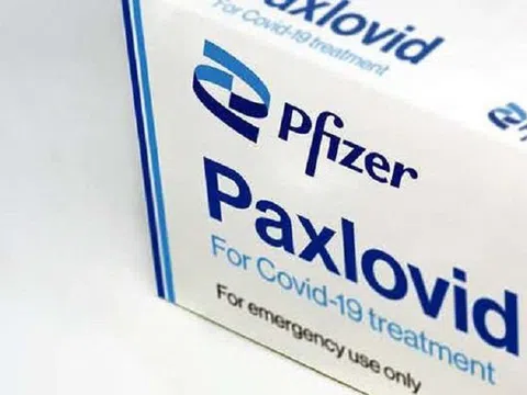 Pfizer thử nghiệm thuốc điều trị Covid-19 tại Nga