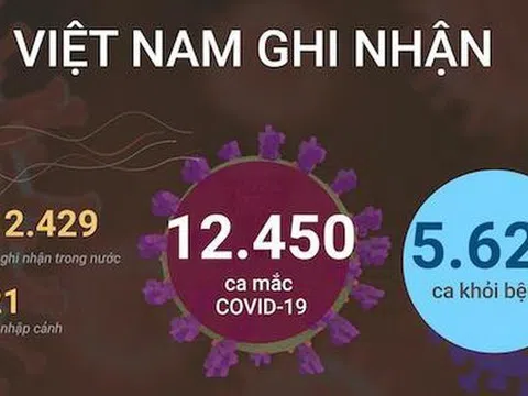 Covid-19 sáng 26/11: Số ca F0 ở TP. Hồ Chí Minh tăng trở lại, Hà Nội lên kịch bản cho hơn 100.000 ca, Hà Nam xuất hiện thêm ổ dịch trong cộng đồng