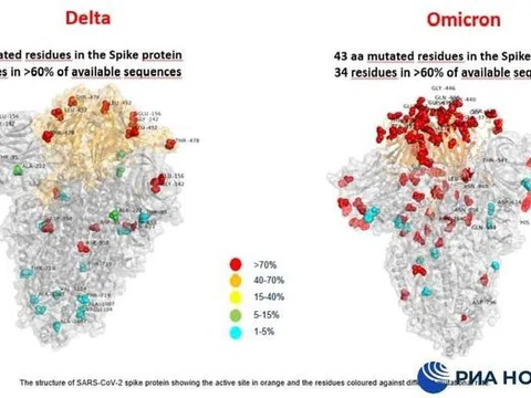 Hình ảnh đầu tiên chỉ ra sự khác biệt giữa hai biến thế Omicron và Delta