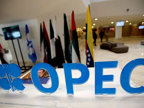 Kỳ vọng gì vào cuộc họp của OPEC+ ngày 1 - 2/12