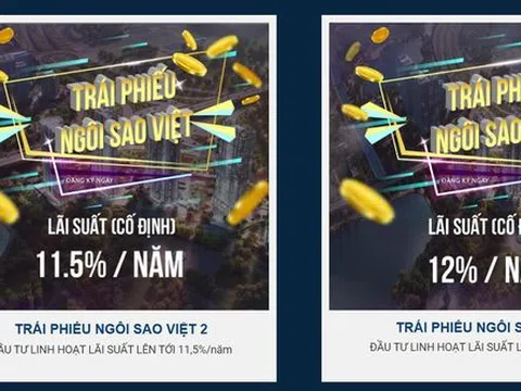 Đấu giá đất 1,1 tỷ USD nhưng Tân Hoàng Minh đang đi vay lãi cao