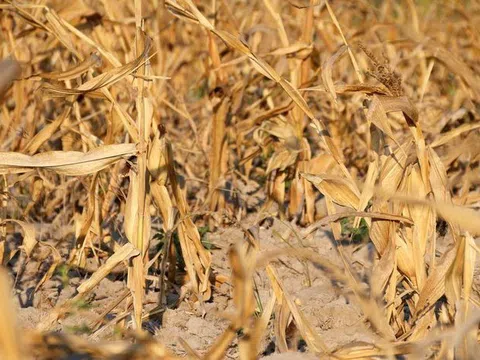 Argentina: Bài học né hạn cho Việt Nam