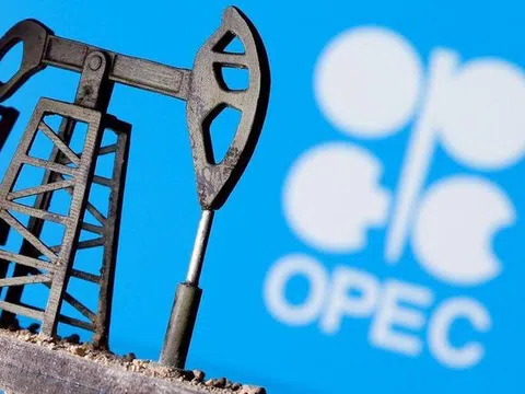 OPEC+: Thị trường dầu 'miễn nhiễm' với biến thể Omicron