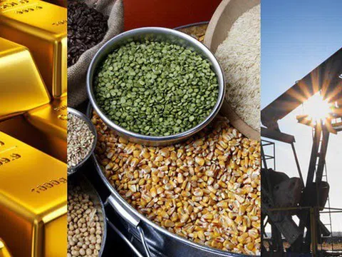 Thị trường ngày 2/2: Giá đồng loạt tăng, đậu tương cao nhất 7 tháng