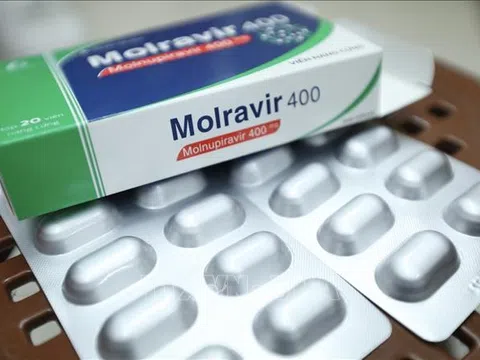 Những người không thể dùng thuốc Molnupiravir điều trị Covid-19