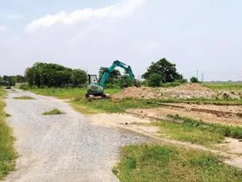 Doanh nghiệp 'ôm' hàng trăm nghìn m2 đất rồi để… hoang hóa