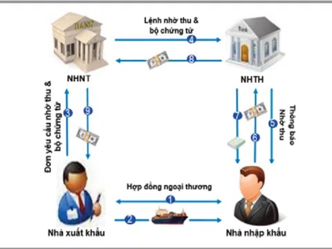 Doanh nghiệp bị lừa, ngân hàng thu hộ vô can?