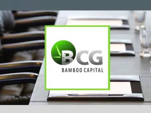 Rót vốn 'khủng' vào dự án năng lượng tái tạo, ngân hàng, Bamboo Capital đang làm ăn ra sao?