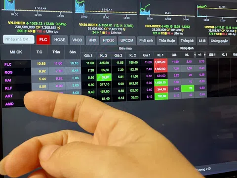 VN-Index vượt đỉnh lịch sử, nhóm cổ phiếu 'nhà ông Trịnh Văn Quyết' tăng kịch trần