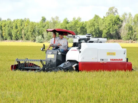 Đông Nam Á thiếu gạo, thế giới lo đối mặt với khủng hoảng lương thực diện rộng