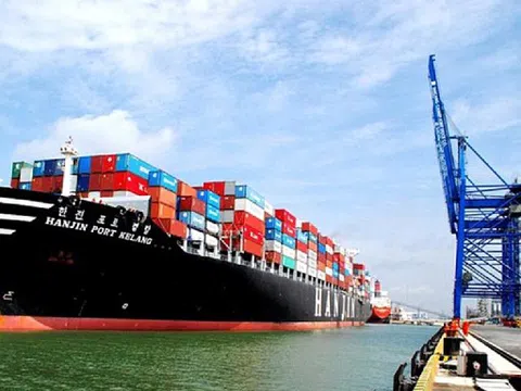 Vụ lừa đảo 100 container hạt điều tại Italia: Doanh nghiệp Việt Nam thật thà quá!