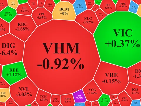 Bán tháo, hơn trăm mã giảm sàn