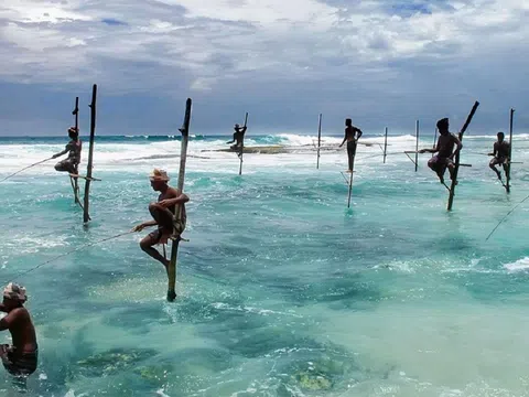 Ngư dân Sri Lanka chật vật 'sống qua ngày' do lạm phát tăng cao