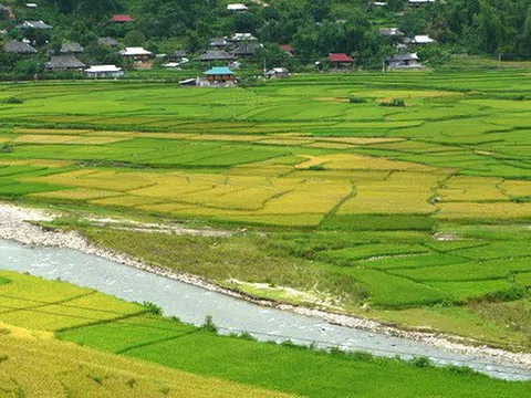 Vĩnh Phúc: Doanh nghiệp tự ý chuyển đổi, quây bao hàng nghìn m2 đất lúa