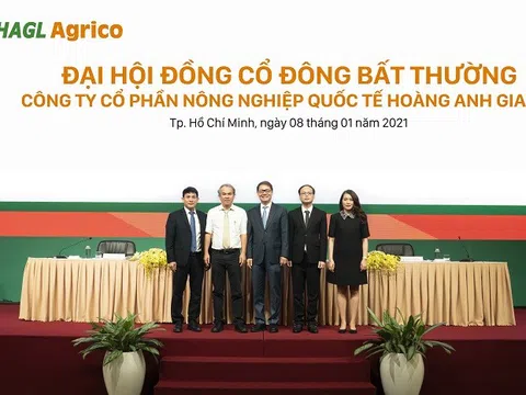 Bầu Đức bán sạch vốn, HAGL Agrico ôm lỗ luỹ kế hơn 4.000 tỷ đồng