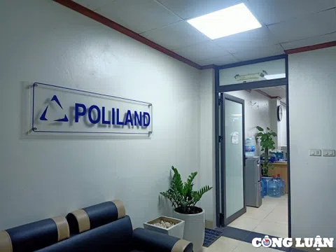 Công ty Cổ phần Poliland liên tục trượt thầu các gói lớn nhỏ