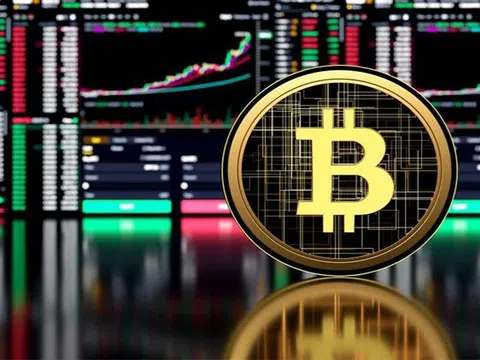 Vì sao Bitcoin vẫn chưa tìm thấy đáy?