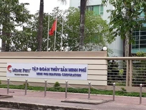 Thủy sản Minh Phú (MPC): Chi phí tài chính tăng gấp 7 lần “bào mòn” lợi nhuận