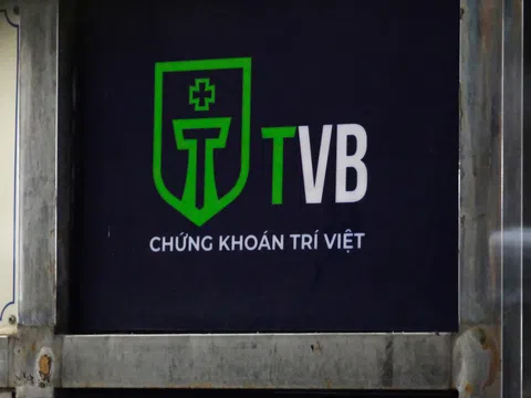 Kinh doanh thụt lùi, cựu Tổng giám đốc bị bắt, cổ phiếu Chứng khoán Trí Việt (TVB) 'lao dốc' lỡ kế hoạch tăng vốn?