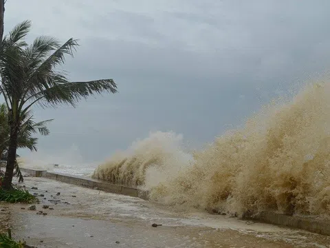 Bão Noru mạnh lên thêm 2 cấp, ‘có thể đánh đắm tất cả tàu thuyền’