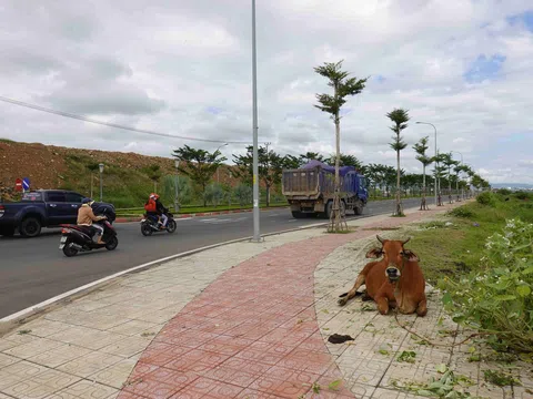 Phú Yên: Kiến nghị thu hồi dự án Khu đô thị Vườn Phượng Hoàng