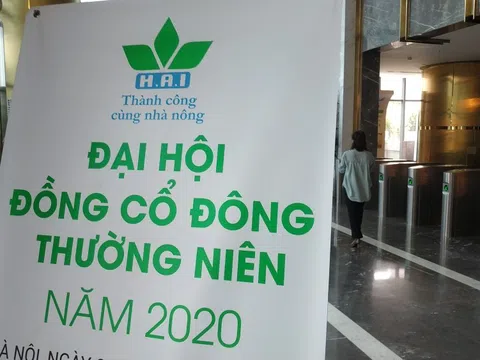 Agribank kê biên thêm 4 khu đất của công ty liên quan ông Trịnh Văn Quyết