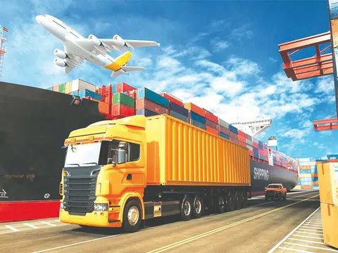 Thương mại toàn cầu tụt dốc, giá cước vận tải biển từ châu Á sang Mỹ giảm 90%