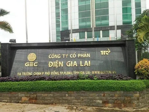 Điện Gia Lai giải thể thêm công ty con