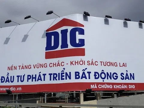 Him Lam chính thức không còn là cổ đông lớn tại DIG