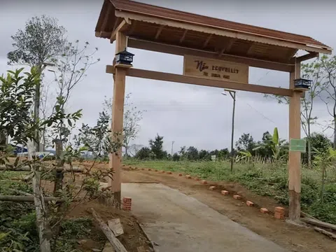 Tiếp bài 'Kiểm tra, làm rõ giá 'trên trời' Farmstay Nẫu Ecovalley': Yêu cầu dừng hoạt động kinh doanh chưa đủ điều kiện