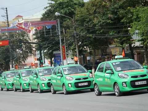 Mai Linh lỗ lũy kế 1.420 tỉ đồng