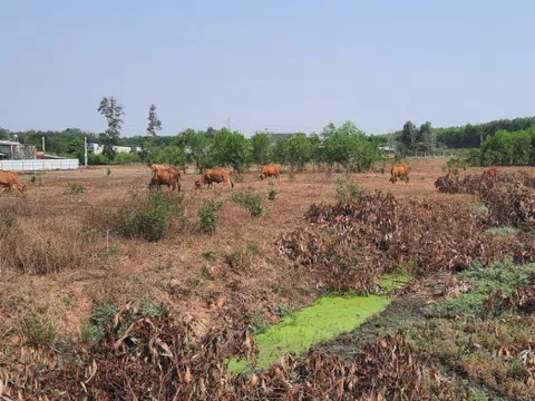 Thông tin bất ngờ vụ Thời Đại Land bị tố lừa đảo tại dự án KDC Bàu Cạn