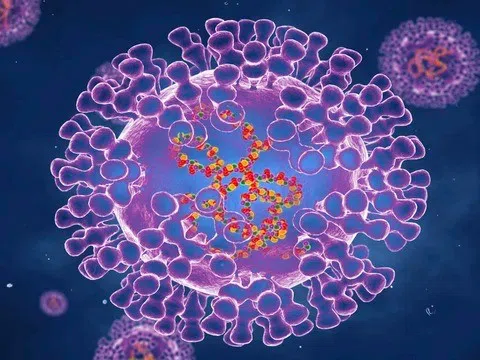 Chủng virus đậu mùa khỉ đang lây lan toàn cầu có 47 đột biến mới