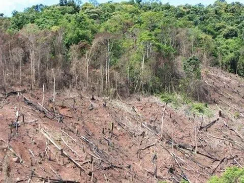 Hệ sinh thái đang mất cân bằng nghiêm trọng