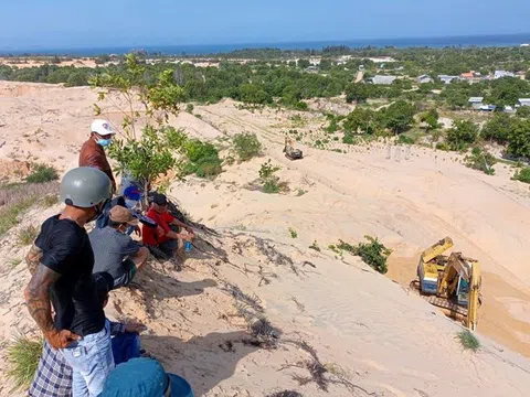 Báo động nạn lấn chiếm đất có tổ chức, mang tính côn đồ ở Bình Thuận