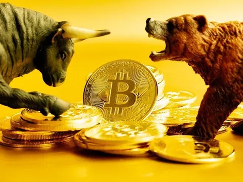 Chỉ báo kỹ thuật: Đáy thị trường Bitcoin đang lộ diện