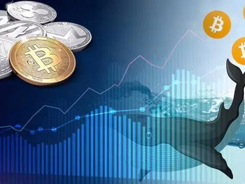 'Cá mập' tiền mã hóa trước nguy cơ vỡ nợ 670 triệu USD