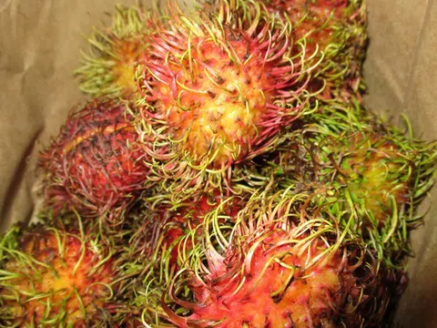 Lô hàng tương ớt, chôm chôm, thanh long của Việt Nam bị tiêu hủy ở châu Âu