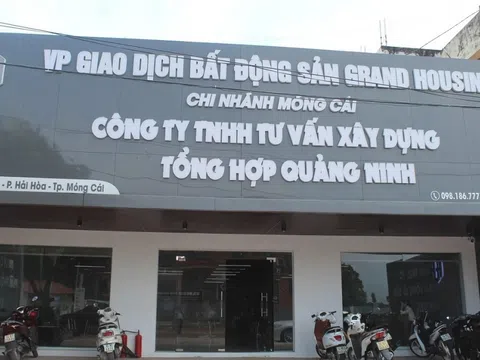 Đình chỉ hoạt động 13 văn phòng bất động sản ở Móng Cái