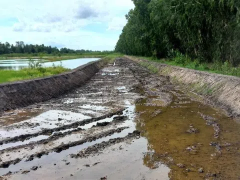 Sân đua bò 'chui' 20.000m2 trên đất nông nghiệp được xử lý như nào?