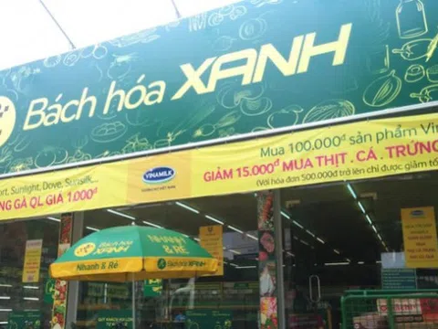 Bách Hóa Xanh lỗ luỹ kế hơn 7.000 tỷ đồng: Cắt giảm hàng loạt cửa hàng