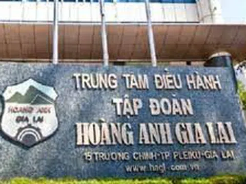 Hoàng Anh Gia Lai: Kiểm toán nghi ngờ đáng kể về khả năng hoạt động liên tục