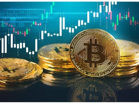 'Mùa đông coin đang tới': Bitcoin sẽ giảm xuống còn 10.000 USD?